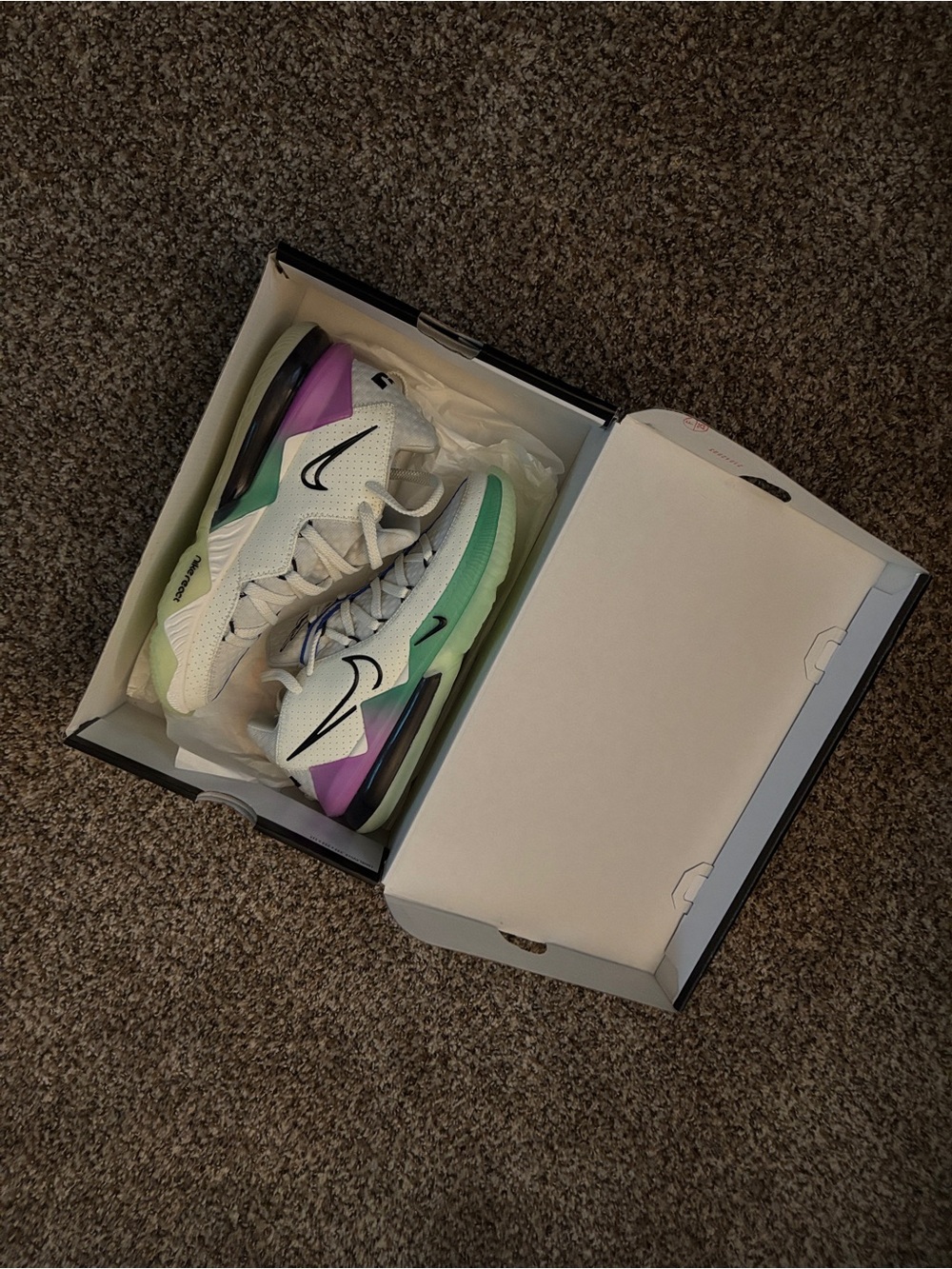 LeBron XVII Women’s Size 8